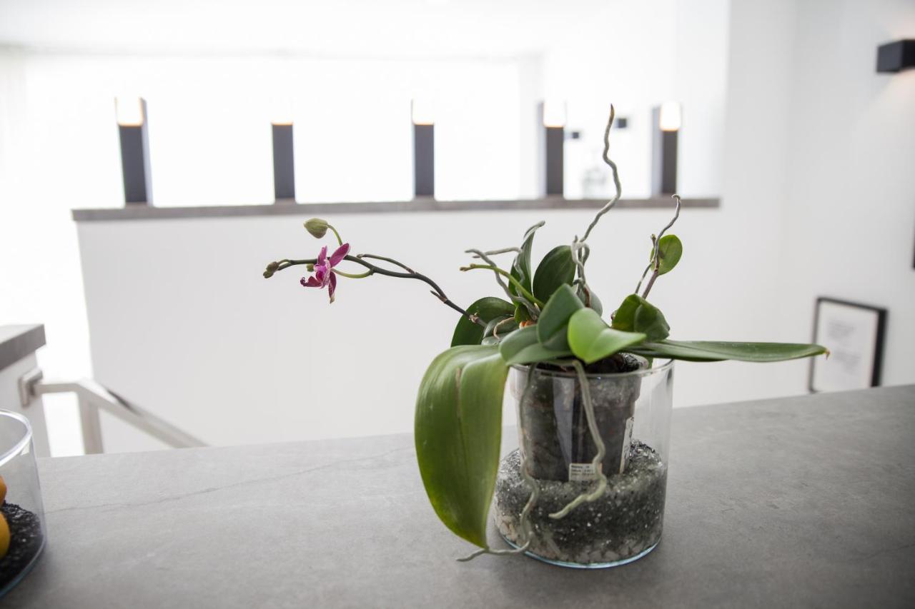 Apartment Spacious 200 Sq.m. Penthouse With Sea View Terraces Torremolinos